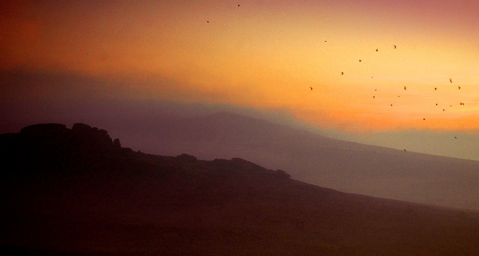 Towards Rippon Tor .jpg