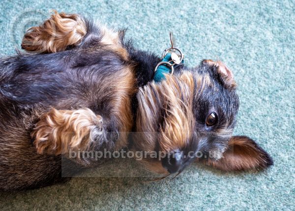 Michael&Susan _012.jpg