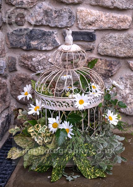 Michael&Susan _264.jpg