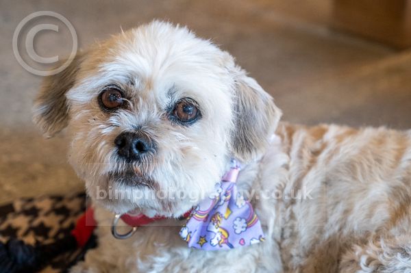 Michael&Susan _268.jpg